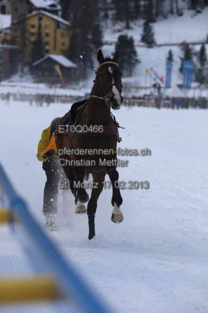 ET0Q0466 prot